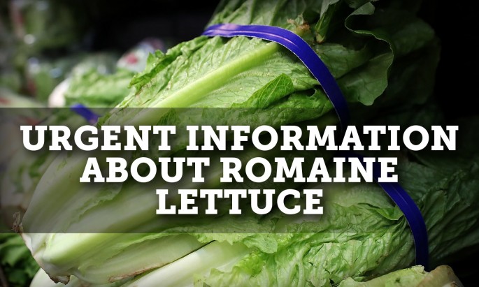 lettuce