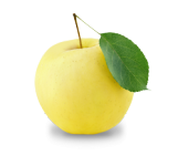 Golden Delicious Apple